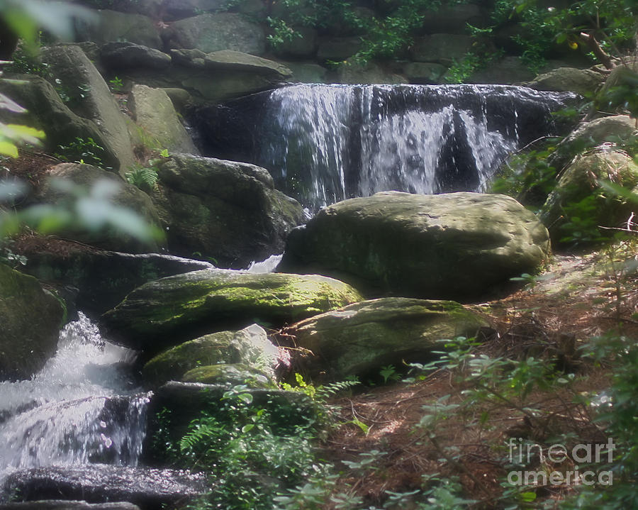 Serene Woodland Waterfall Photograph by Smilin Eyes Treasures