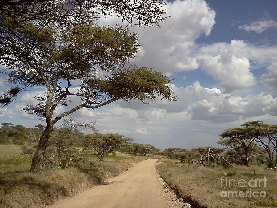 Serengeti Highway Photograph by Chris Scroggins