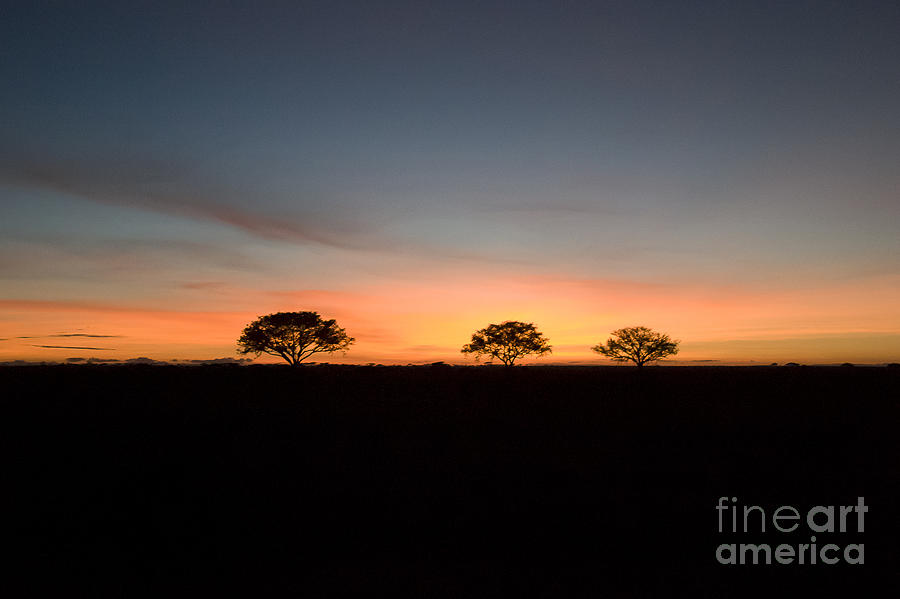 Serengeti Sunset Photograph by Darcy Michaelchuk