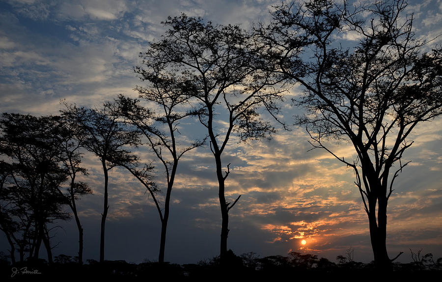 Serengeti Sunset Photograph by Joe Bonita