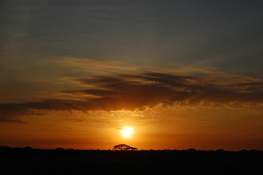 Sunset Photograph - Serengeti Sunset  by Mark Archer