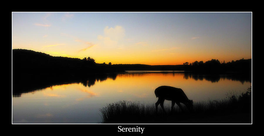 Serenity Photograph by Cindy Haggerty