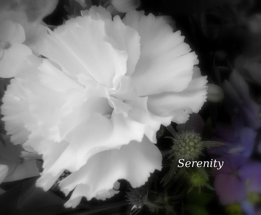 Serenity II Photograph by Sian Lindemann