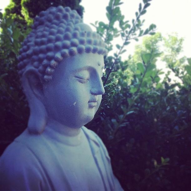 Buddha Photograph - Serenity Now. #buddha #idol #calm #yard by Rads Kowthas
