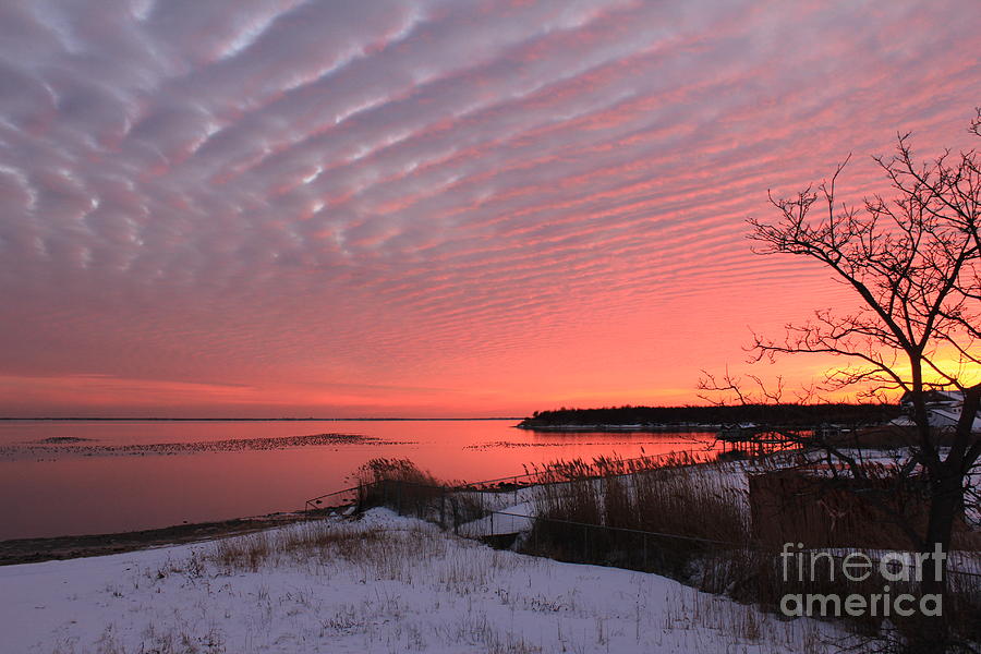 Nature Photograph - Serenity by Scenesational Photos Nature Photograph - Serenity by Scenesational Photos