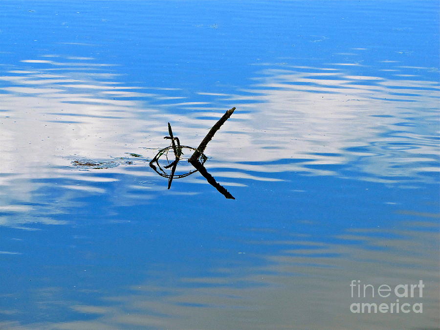 Nature Photograph - Serenity by Sean Griffin