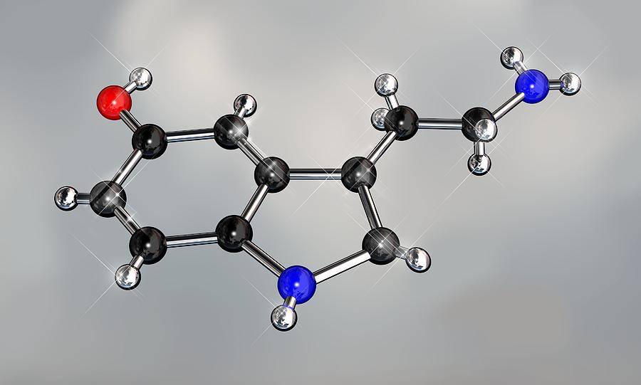 Ball-and-stick Model Photograph - Serotonin Molecule, Artwork by Miriam Maslo
