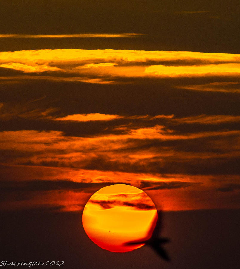 Setting Sun Flyby Photograph by Shannon Harrington