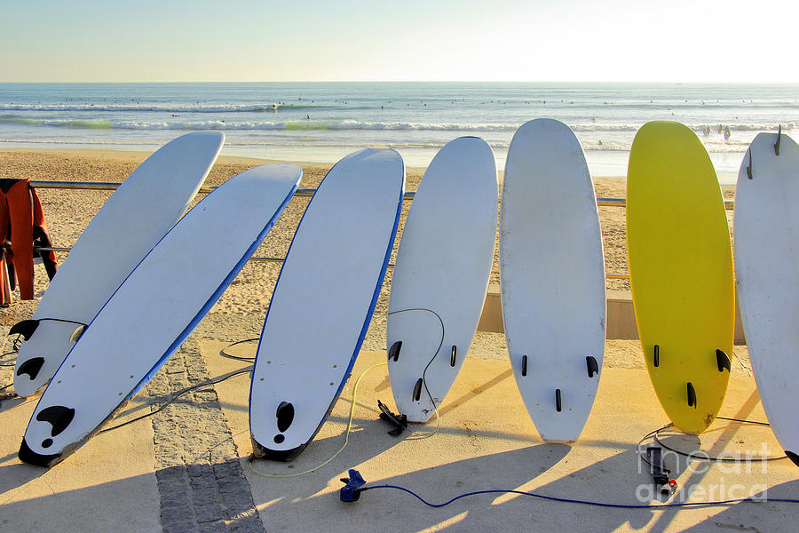 Spring Photograph - Seven Surfboards by Carlos Caetano