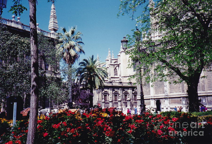 Seville At Its Finest Photograph by Barbara Plattenburg