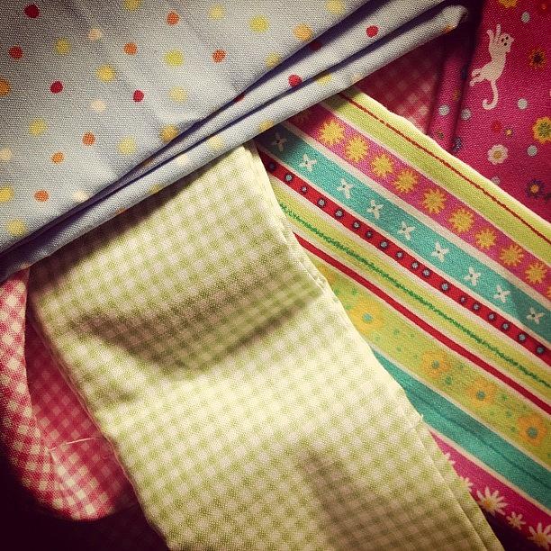 Cat Photograph - #sewing #fabric #pattern #gingham by Grace Shine
