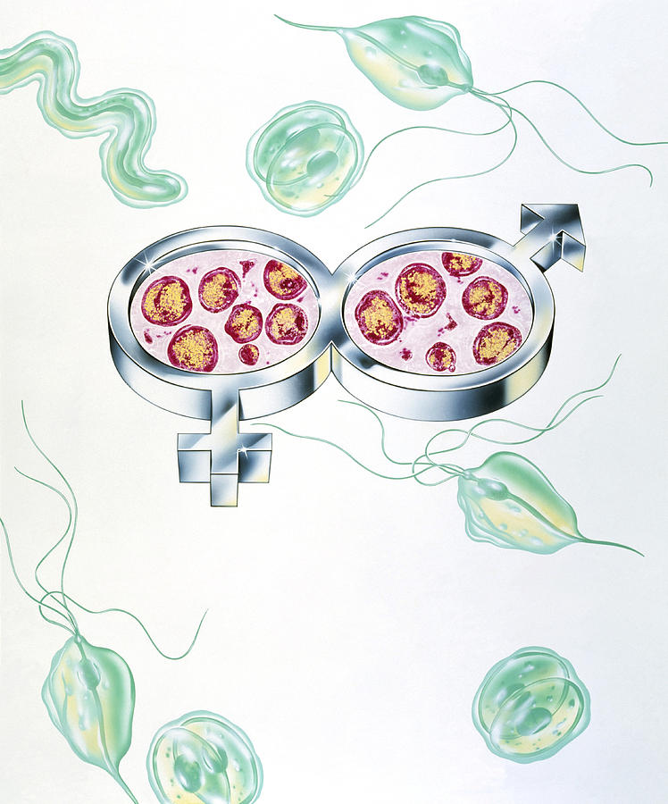 Illustration Photograph - Sexually Transmitted Diseases by John Bavosi