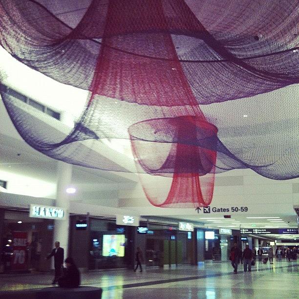 Sfo Photograph - #sfo Airport by Esther Huynh