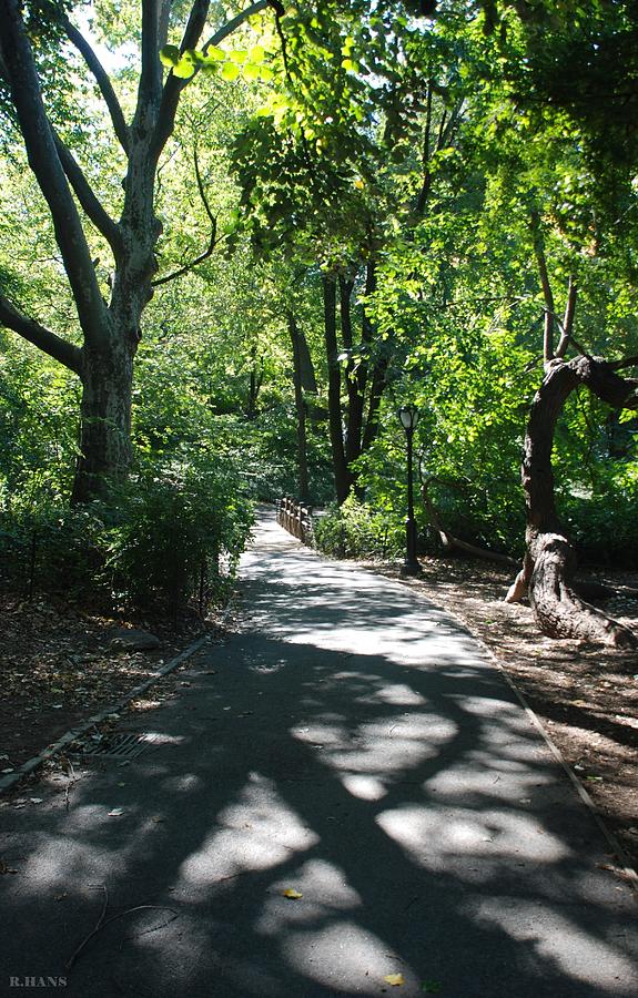 Shaded Paths In Central Park Photograph