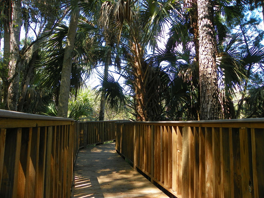 Shaded Walkway Photograph by Sheri McLeroy