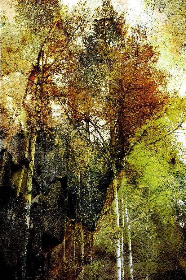 Shades of Autumn Photograph by Ellen Heaverlo