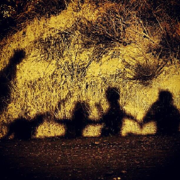 Shadow Clan Hiking Photograph by Jeremiah Adams