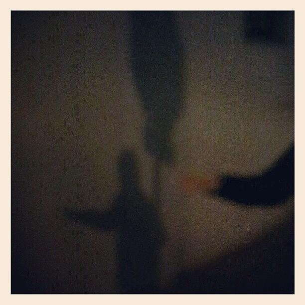 Shadow Dancing Photograph by Jules S