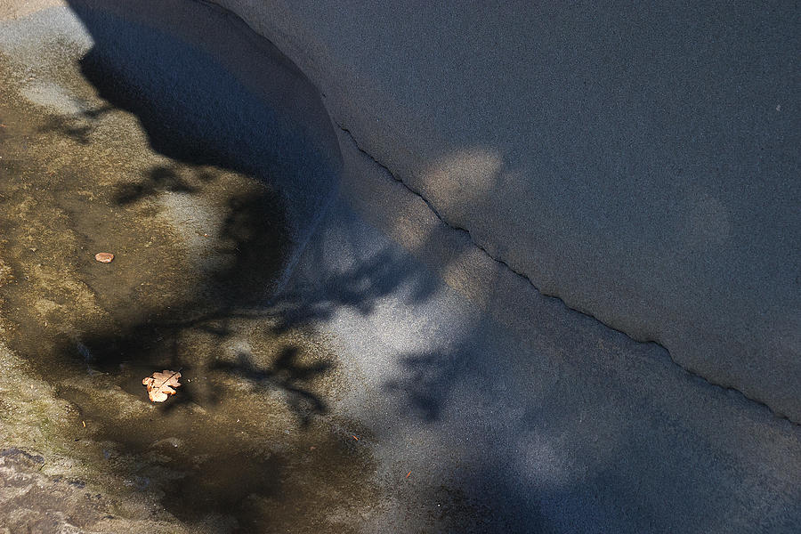 Shadow Play On Rock Photograph by David Kleinsasser