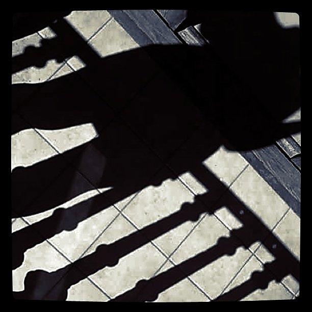 Shadowplay II Photograph by Lana Banana