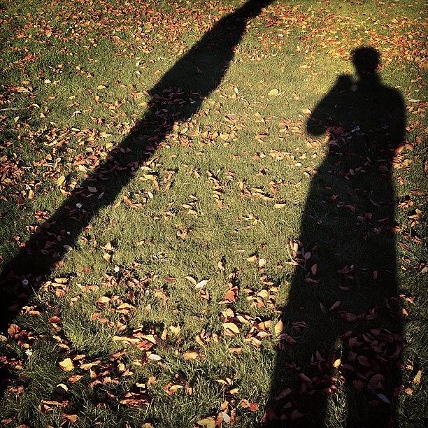 Shadows Photograph - #shadows #grass #leaves #sun #edgcumbe by Joe Trethewey