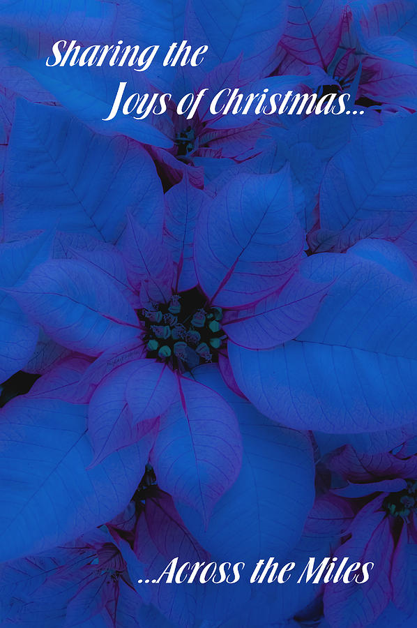 Christmas Photograph - Sharing the Joys of Christmas by DigiArt Diaries by Vicky B Fuller