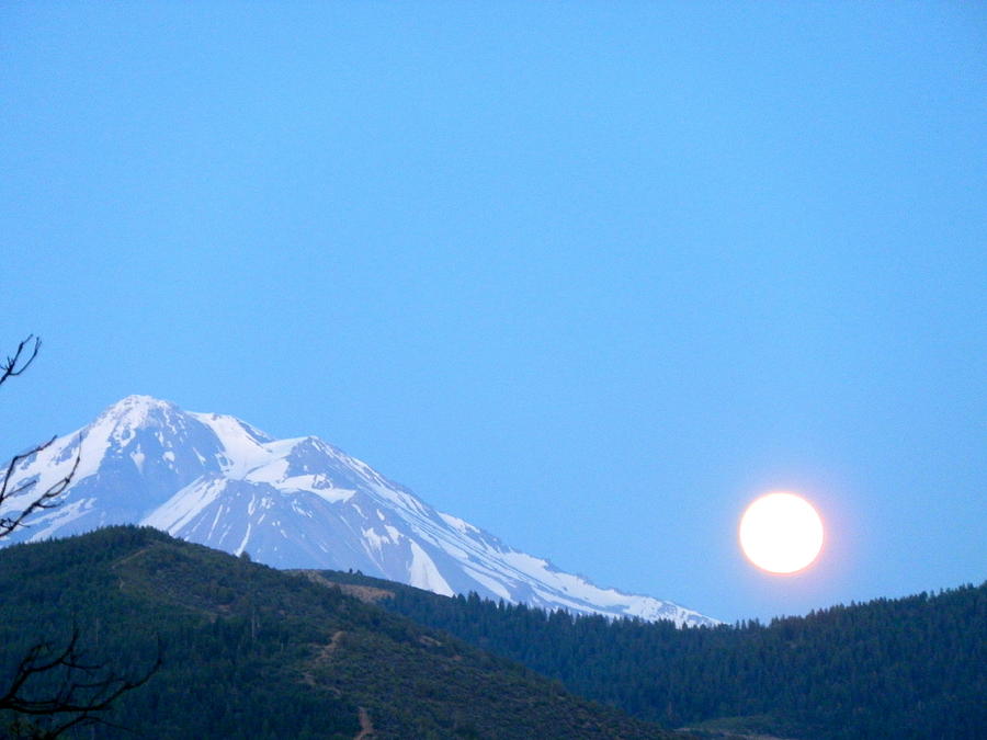 Shasta Moon  Photograph by William McCoy
