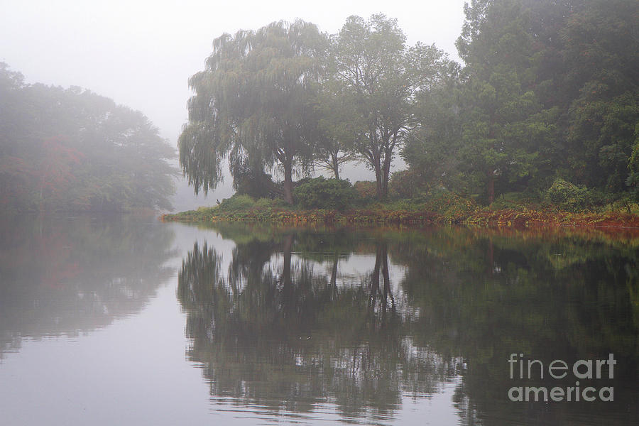 Shawme Pond in fog Photograph by Gene  Marchand