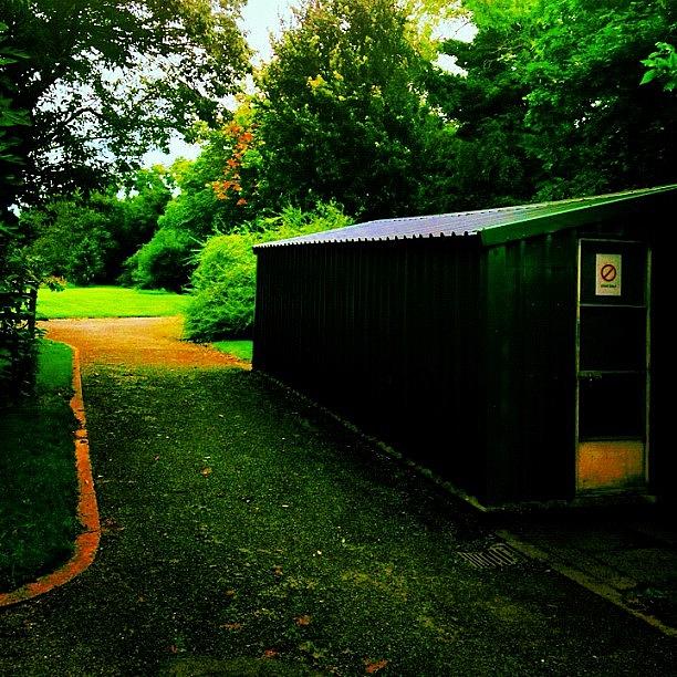 Nature Photograph - Shed.  #shed #garden #park #dublin by Fotocrat Atelier