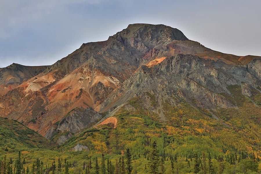 Sheep Mountain Fall Colors Alaska Photograph by Sam Amato