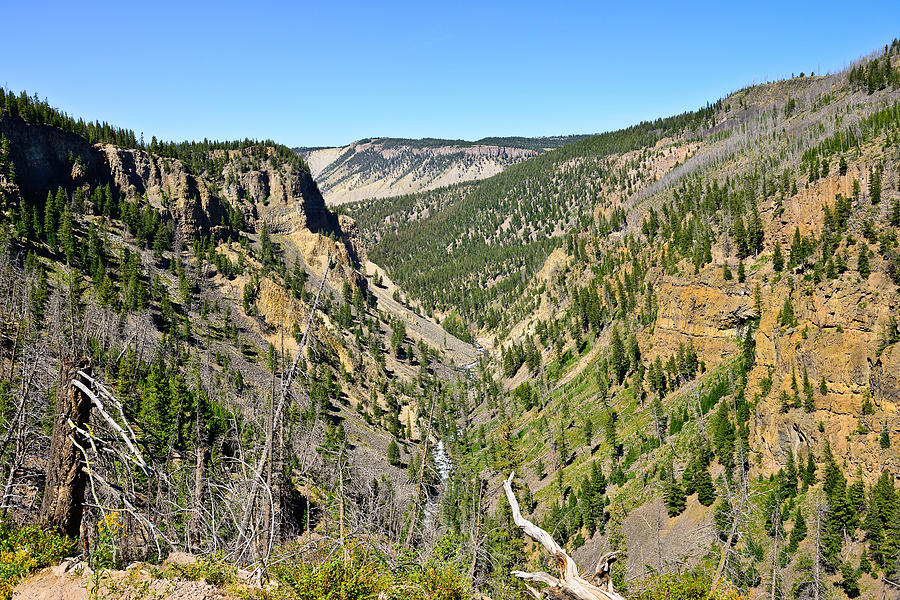 Sheepeater Canyon Photograph by Greg Norrell