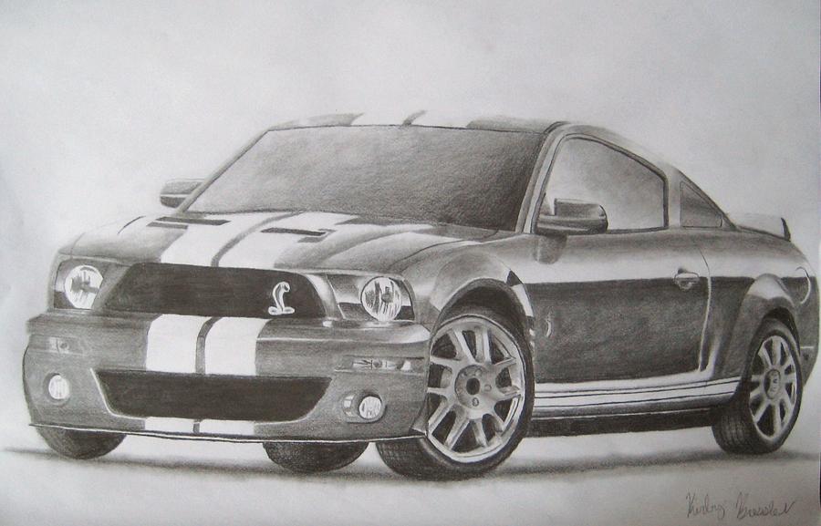 Shelby Drawing by Kirby Bressler - Fine Art America