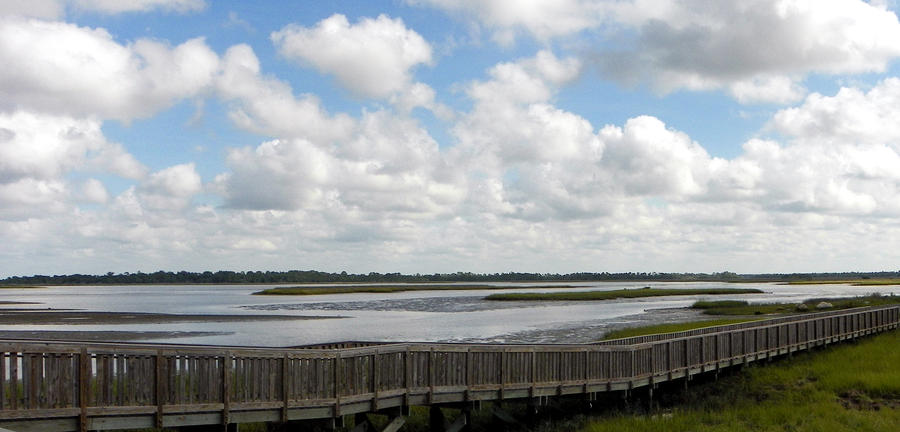 Shell Mound Pier Walkway I Photograph by Sheri McLeroy