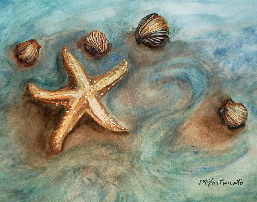 SHELLS WITH STAR by Margaret Fortunato SHELLS WITH STAR by Margaret Fortunato