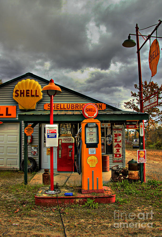 Shell Photograph - Shellubrication by Brenda Giasson