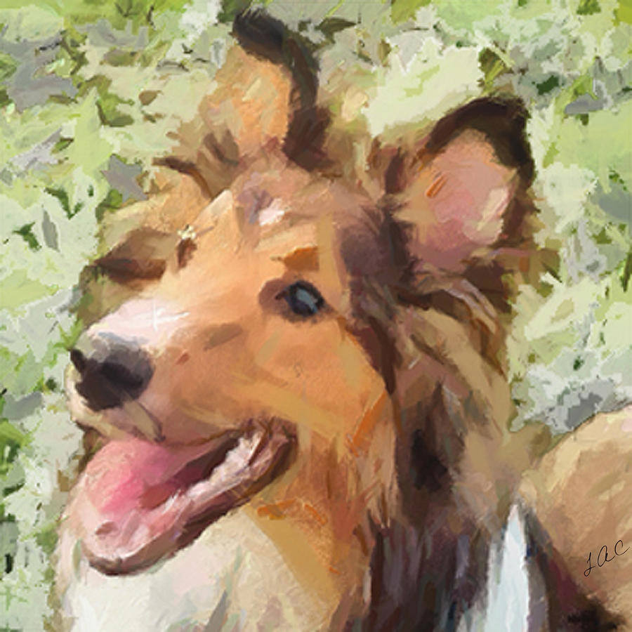 Sheltie - May Painting by Doggy Lips