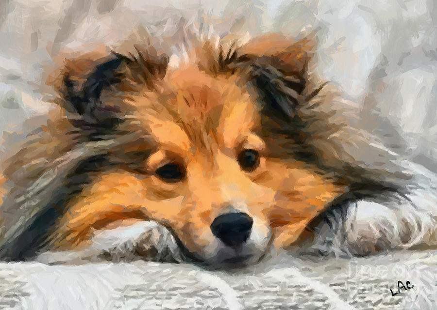 Sheltie On Bed Painting by Doggy Lips