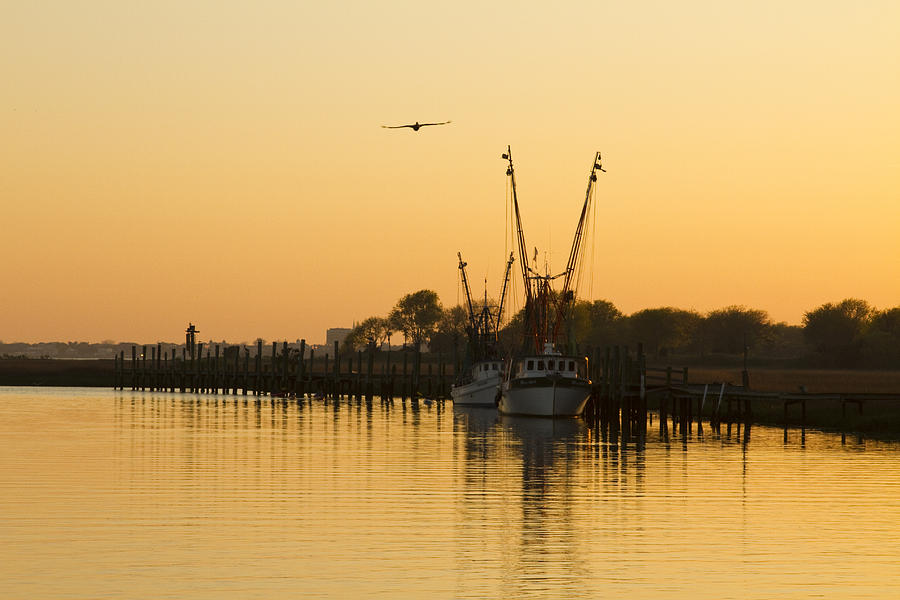 Shem Creek Photograph by Carrie Cranwill