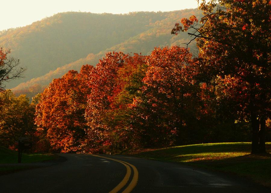 Shenandoah Autumn Photograph by Joyce Kimble Smith