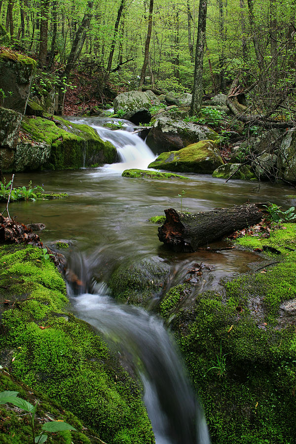 Shenandoah Stream Photograph by Darren Creighton - Fine Art America