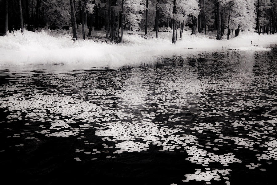 Shepard Lake in Infrared 1 Photograph by Lee Santa