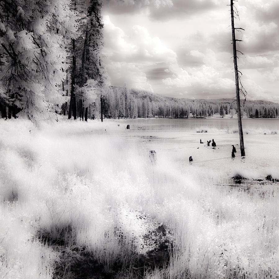 Shepard Lake in Infrared 3 Photograph by Lee Santa