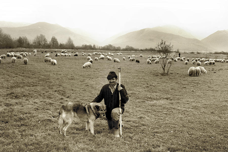 Shepherd in Fagaras Mountains Photograph by Emanuel Tanjala
