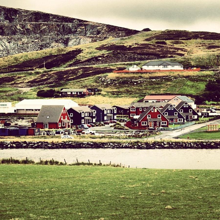 Nature Photograph - Shetland by Luisa Azzolini