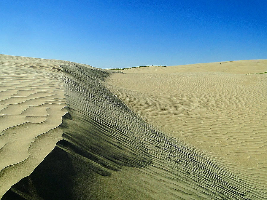 Shifting Sands Photograph by Blair Wainman