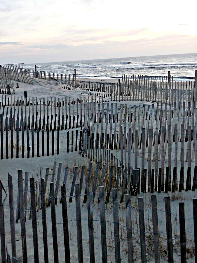 Shifting Sands of the Outer Banks Photograph by Jo Sheehan