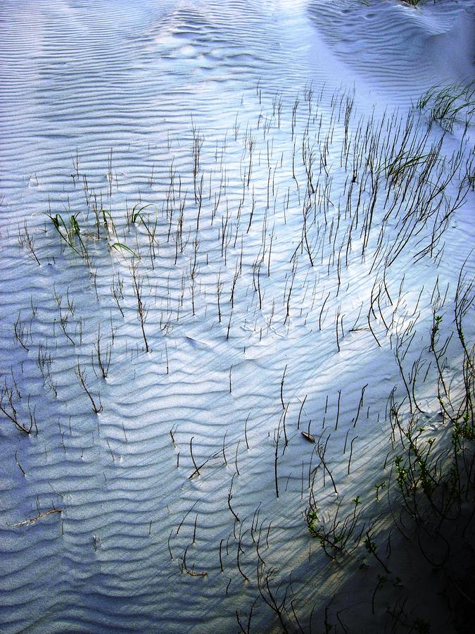 Shifting Sands over Blades of Seagrass Photograph by Robert Boyette