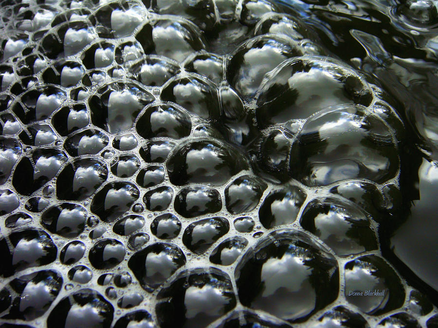 Shiney Bubbles Photograph by Donna Blackhall