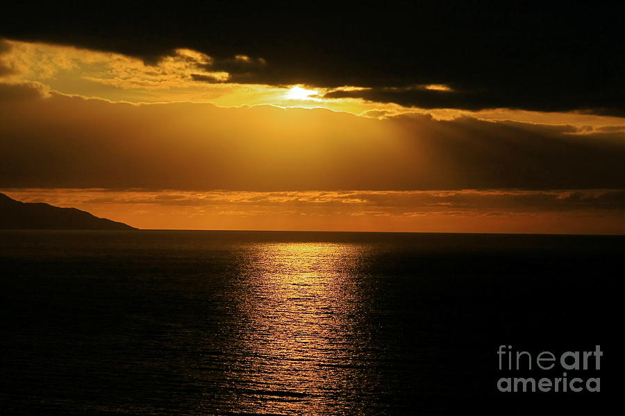 Shining Gold Photograph by Nicola Fiscarelli