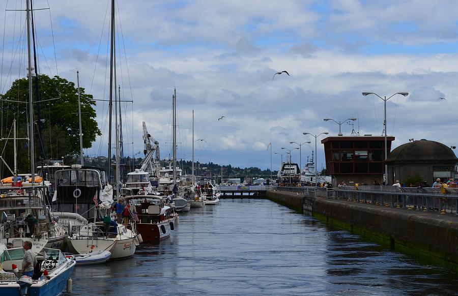 Seattle Photograph - Ship Canal by Ami Tirana